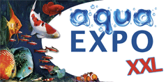 aqua EXPO XXL